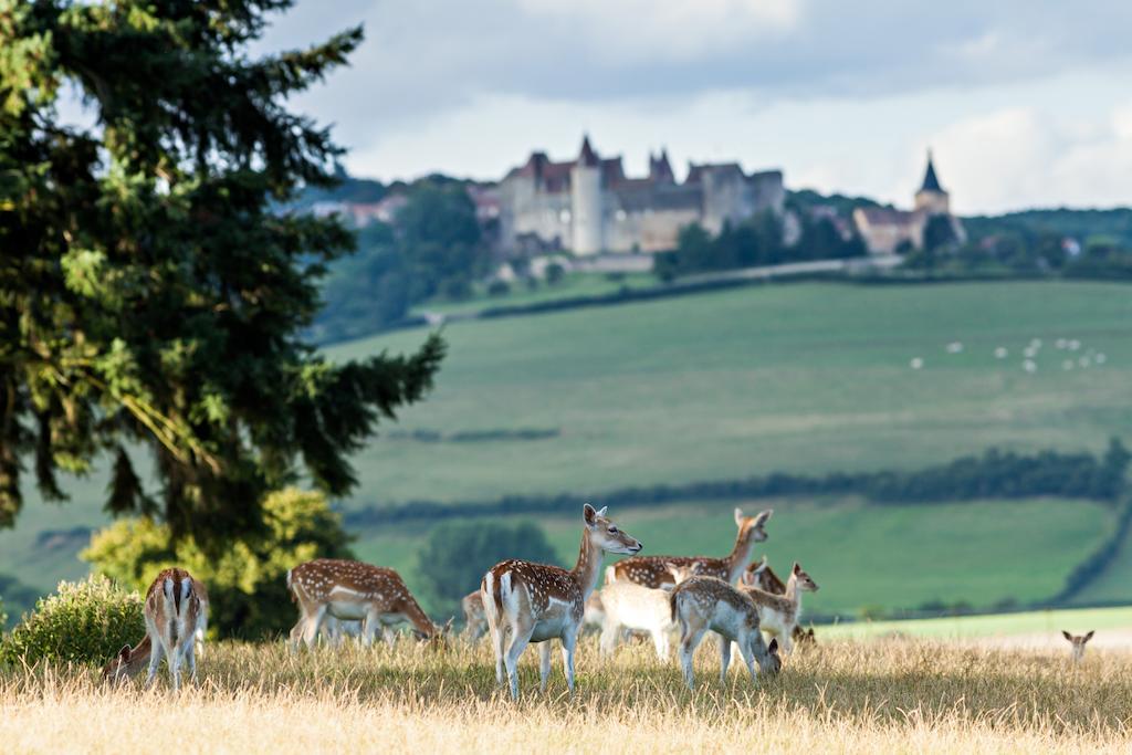 Chateau Sainte Sabine Luaran gambar